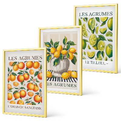 Set de 3 cuadros para salón Frutas cítricas en versiones coloridas