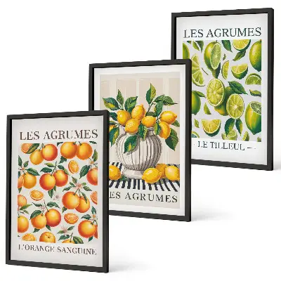 Set de 3 cuadros para salón con diseño de frutas cítricas en versiones coloridas