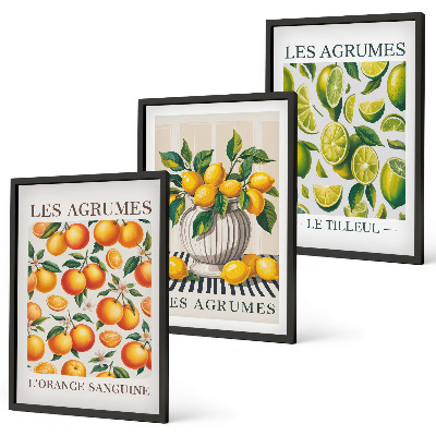 Set de 3 cuadros para salón Frutas cítricas en versiones coloridas