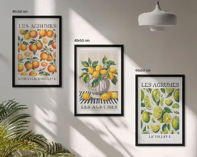 Set de 3 cuadros para salón con diseño de frutas cítricas en versiones coloridas