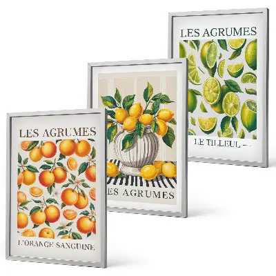 Set de 3 cuadros para salón con diseño de frutas cítricas en versiones coloridas