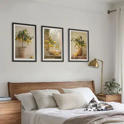 Limoneros en macetas juego de 3 cuadros