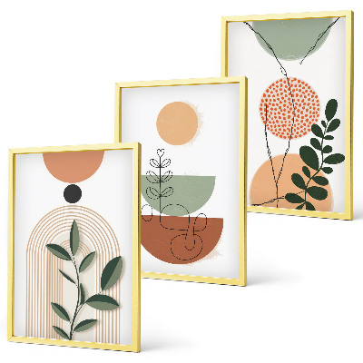 Juego de 3 cuadros Formas abstractas de plantas