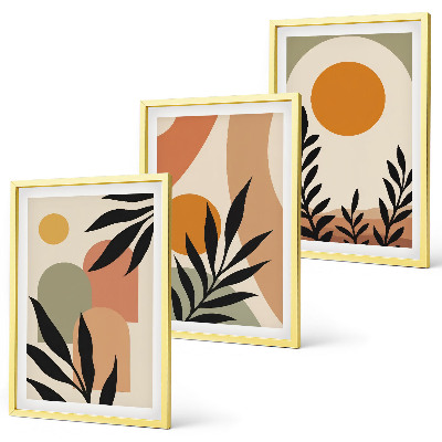 Juego de 3 cuadros Formas abstractas de plantas