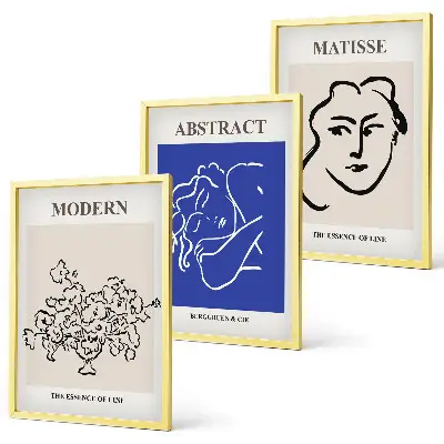 Set de 3 cuadros para salón estilo moderno con diseños de Matisse