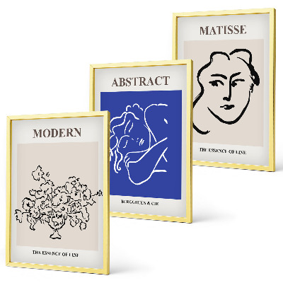 Set de 3 cuadros para salón Los carteles modernos de Matisse