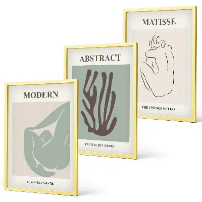 Juego de 3 cuadros pinturas abstractas elegantes de Matisse