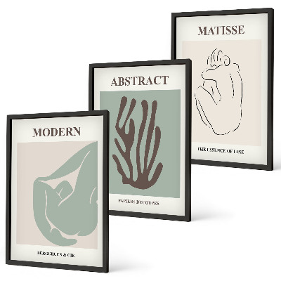 Juego de 3 cuadros Las elegantes pinturas abstractas de Matisse