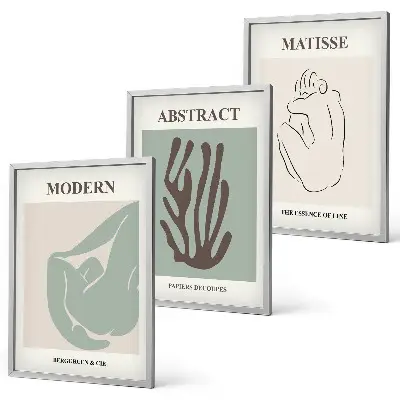 Juego de 3 cuadros pinturas abstractas elegantes de Matisse