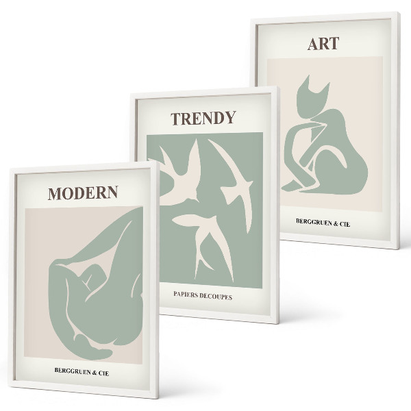 Juego de 3 cuadros Figuras abstractas de Matisse