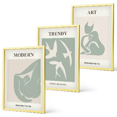 Figuras abstractas de Matisse juego de 3 cuadros