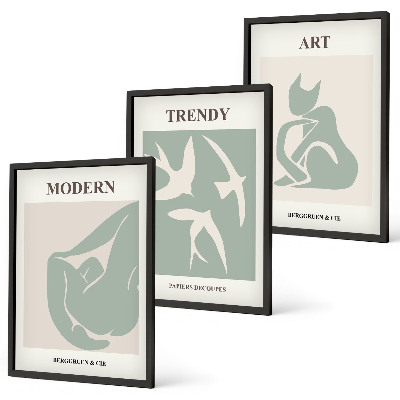 Juego de 3 cuadros Figuras abstractas de Matisse