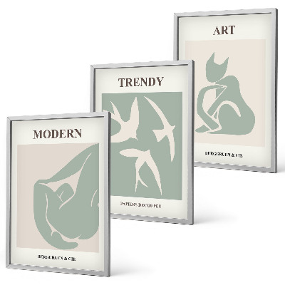 Juego de 3 cuadros Figuras abstractas de Matisse