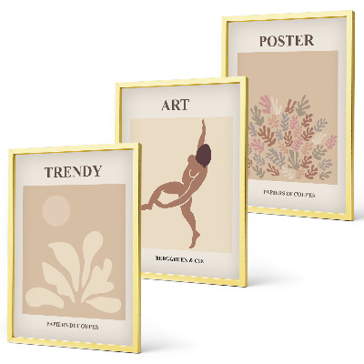 Juego de 3 cuadros Las formas abstractas de Matisse