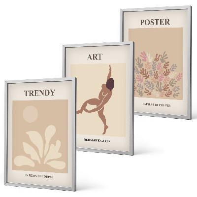 Juego de 3 cuadros Las formas abstractas de Matisse