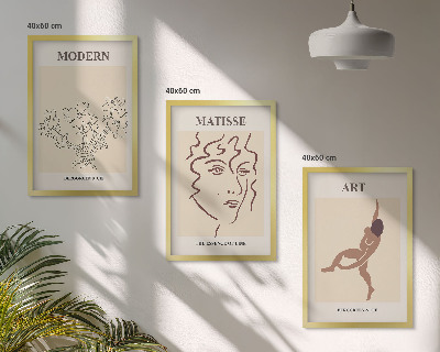 Juego de 3 cuadros Gráficos elegantes de personajes florales