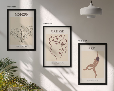 Juego de 3 cuadros Gráficos elegantes de personajes florales