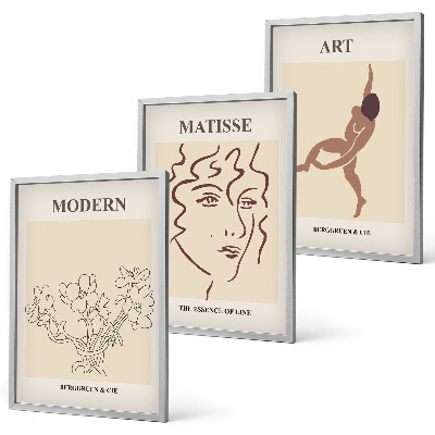 Juego de 3 cuadros Gráficos elegantes de personajes florales