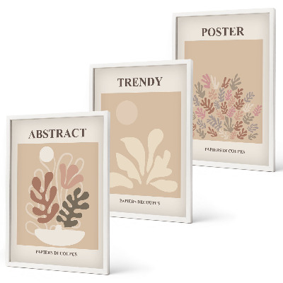 Set de 3 cuadros para salón Motivos vegetales beige marrón