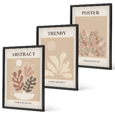 Set de 3 cuadros para salón Motivos vegetales beige marrón