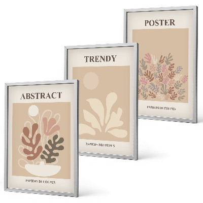 Set de 3 cuadros para salón Motivos vegetales beige marrón