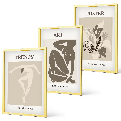 Set de 3 cuadros para salón Las figuras vegetales de Matisse