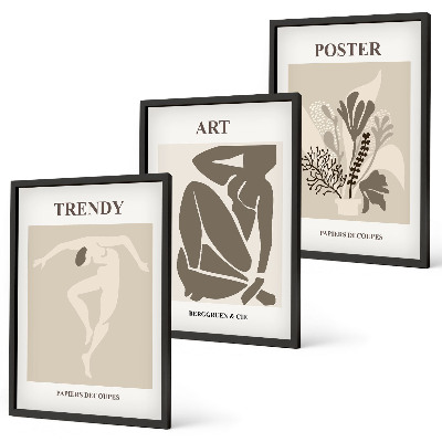 Set de 3 cuadros para salón Las figuras vegetales de Matisse
