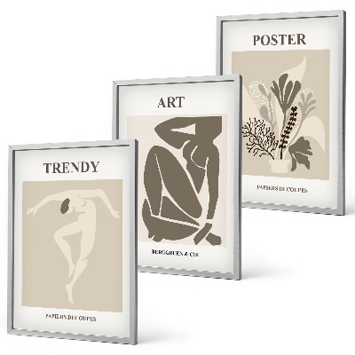 Set de 3 cuadros para salón Las figuras vegetales de Matisse