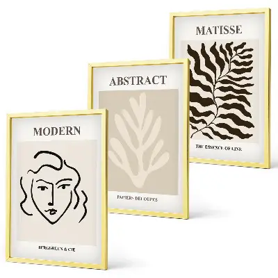 Juego de 3 cuadros de arte Matisse con diseño de rostros y hojas