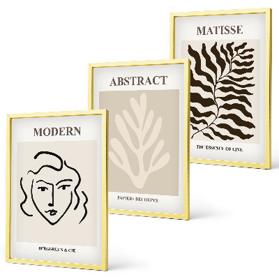 Juego de 3 cuadros Rostro hojas arte Matisse
