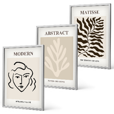 Juego de 3 cuadros Rostro hojas arte Matisse