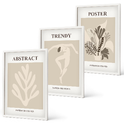 Set de 3 cuadros para salón Estampados florales en tonos beige y marrón.