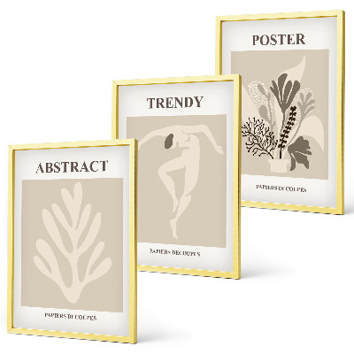 Set de 3 cuadros para salón Estampados florales en tonos beige y marrón.
