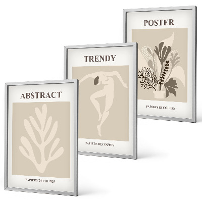 Set de 3 cuadros para salón Estampados florales en tonos beige y marrón.