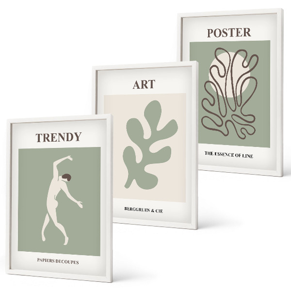 Juego de 3 cuadros Figuras abstractas de plantas