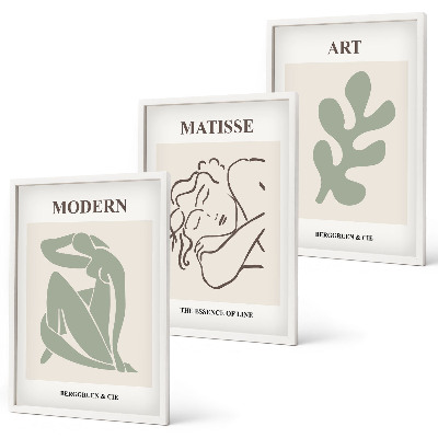 Juego de 3 cuadros Diseño de personajes de plantas con estilo
