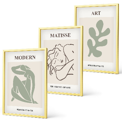 Juego de 3 cuadros Diseño de personajes de plantas con estilo