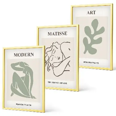 Juego de 3 cuadros diseño decorativo de personajes de plantas