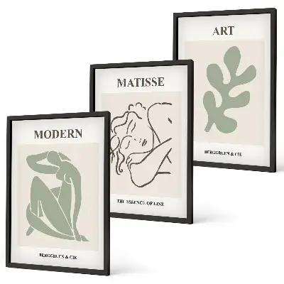 Juego de 3 cuadros diseño decorativo de personajes de plantas