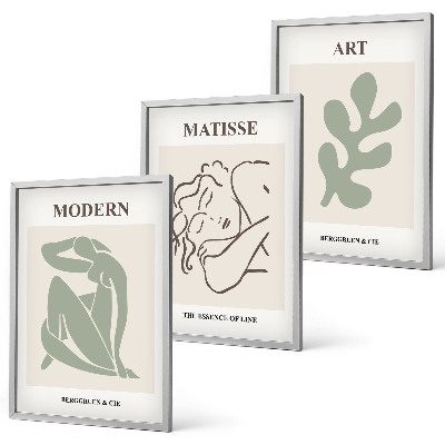 Juego de 3 cuadros Diseño de personajes de plantas con estilo