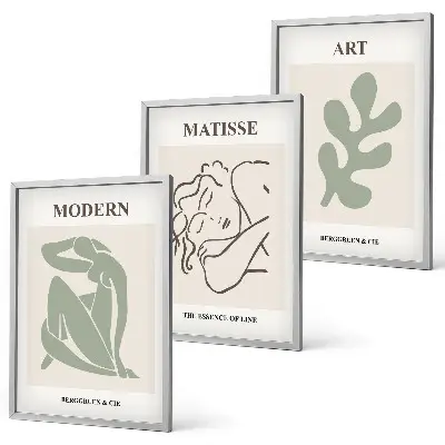 Juego de 3 cuadros diseño decorativo de personajes de plantas