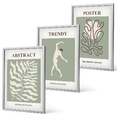Set de 3 cuadros para salón Los patrones de plantas verdes de Matisse
