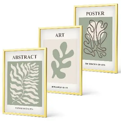 Juego de 3 cuadros con motivos vegetales de Matisse