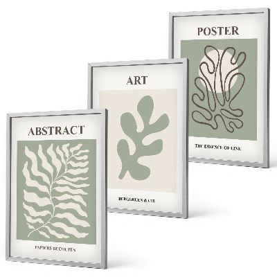 Juego de 3 cuadros Carteles con motivos vegetales de Matisse