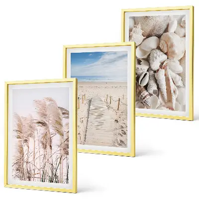 Juego de 3 cuadros con conchas de playa y pastos marinos