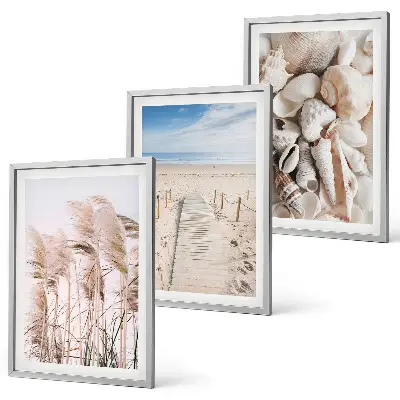 Juego de 3 cuadros con conchas de playa y pastos marinos
