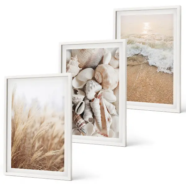 Juego de 3 cuadros con motivos de playa, conchas y olas