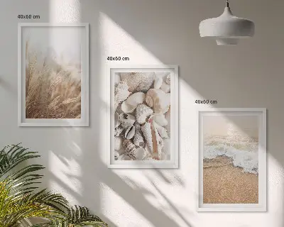 Juego de 3 cuadros con motivos de playa, conchas y olas