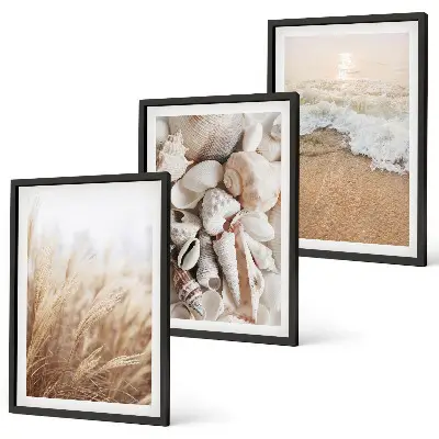 Juego de 3 cuadros con motivos de playa, conchas y olas