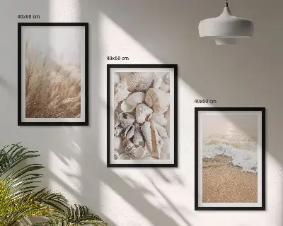 Juego de 3 cuadros con motivos de playa, conchas y olas